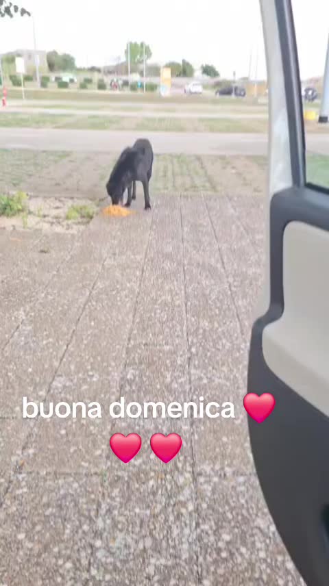 @Maria Grazia