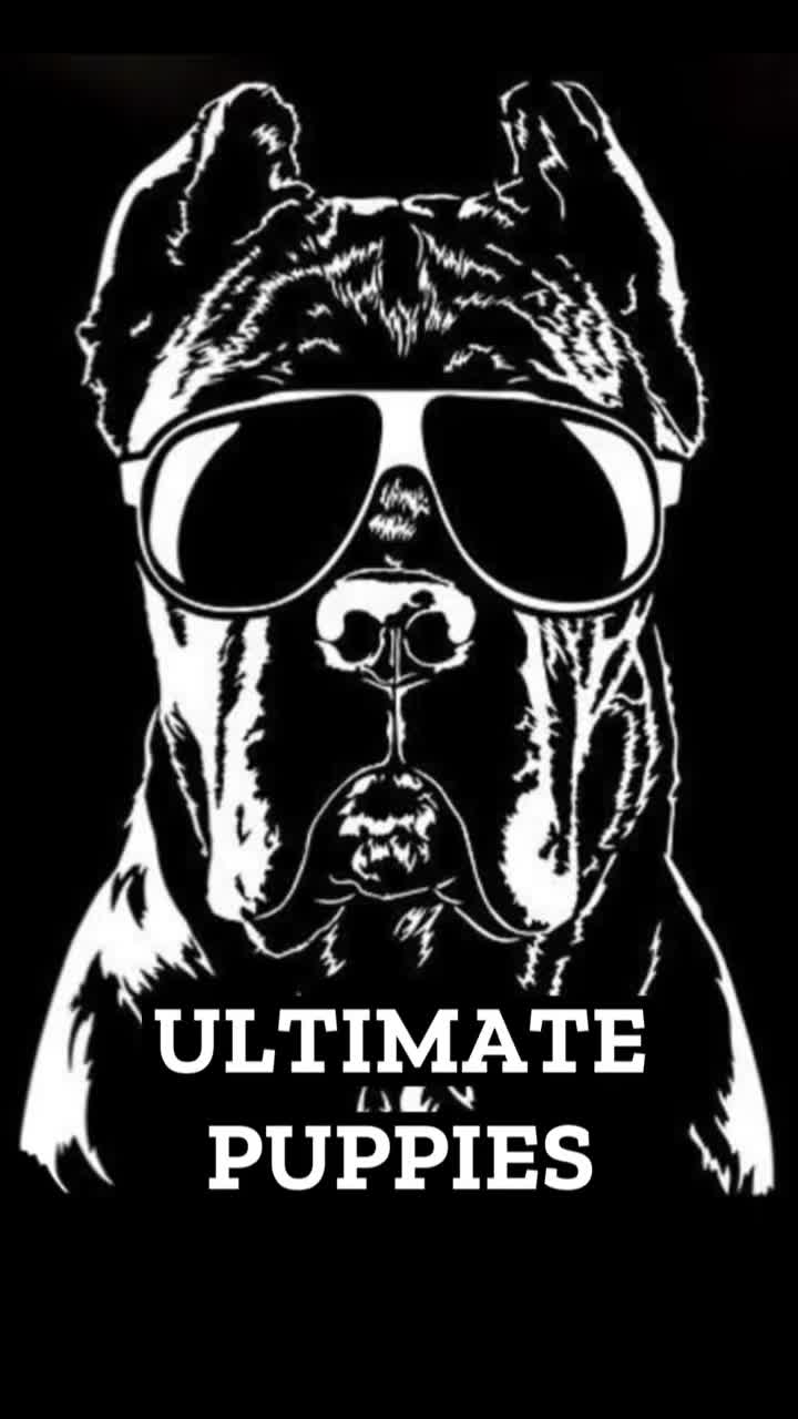 @Ultimate Puppies