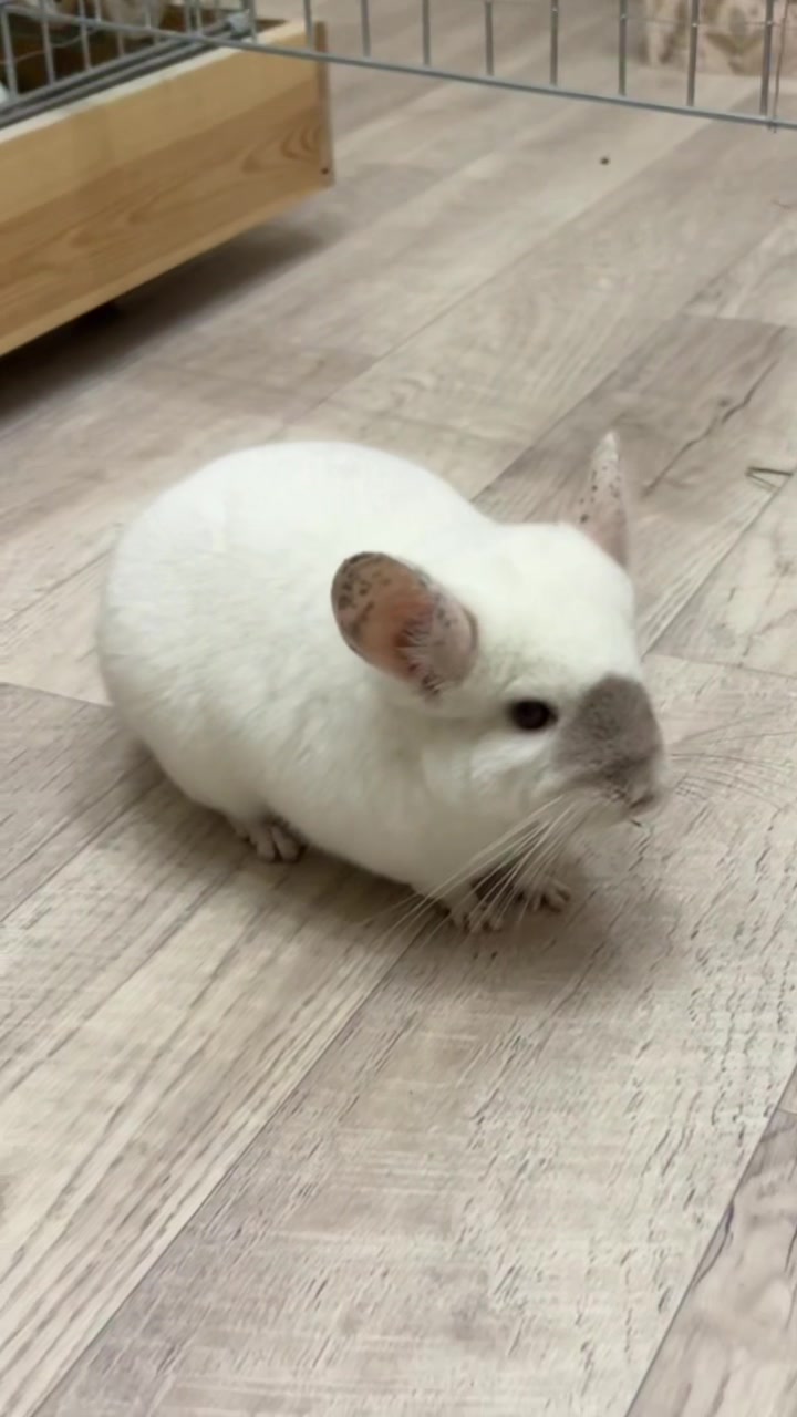 @Лулу