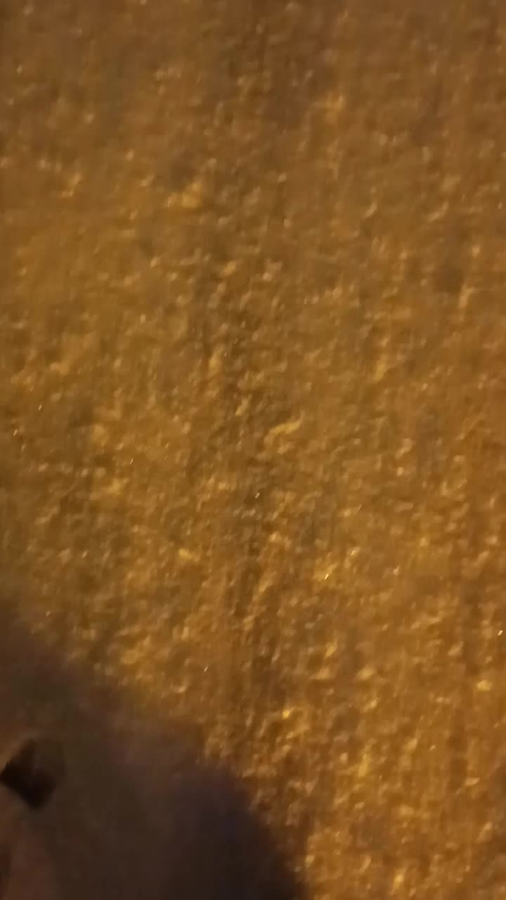 @Mehmet Şamlı