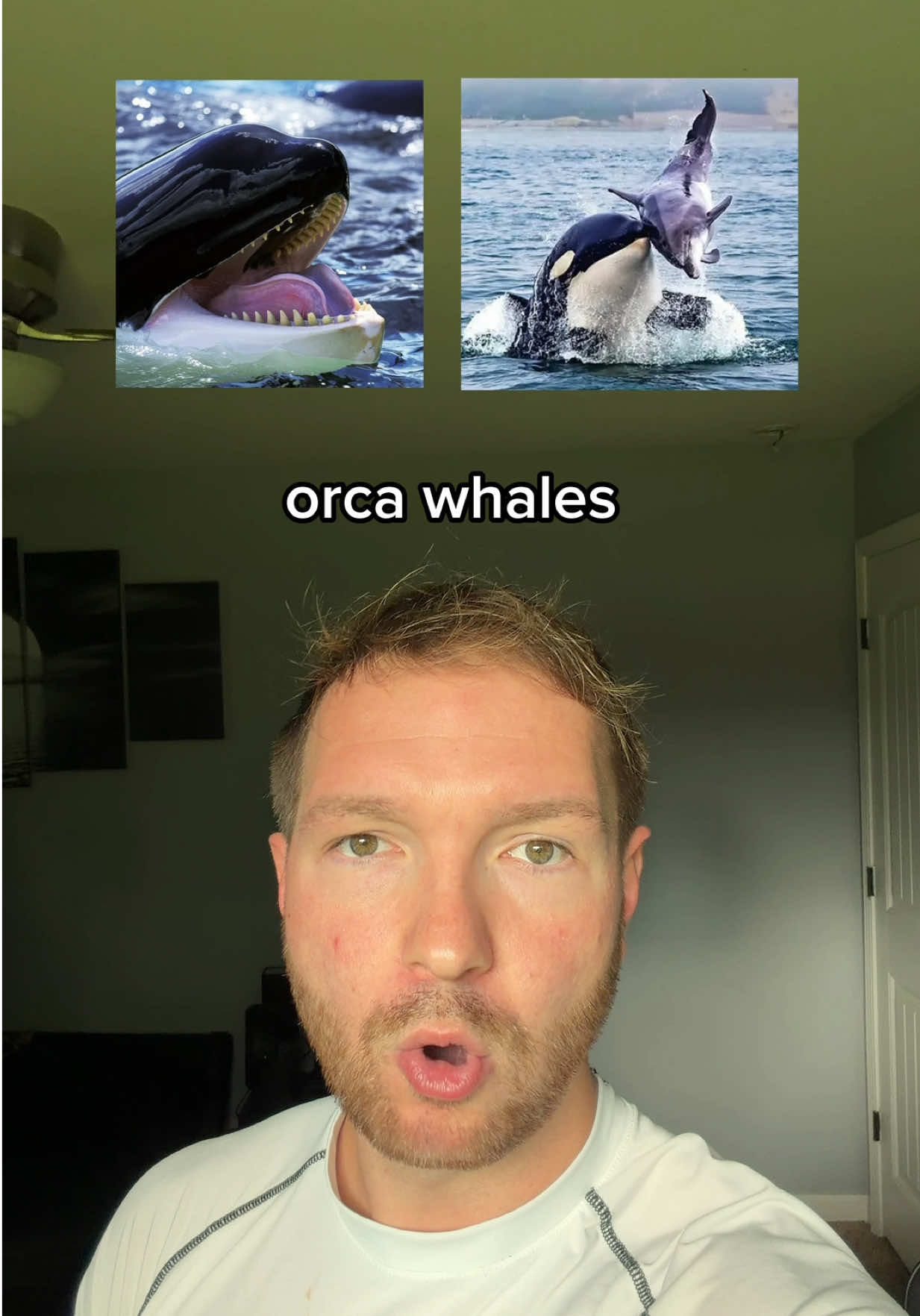 @itsjacobbowman