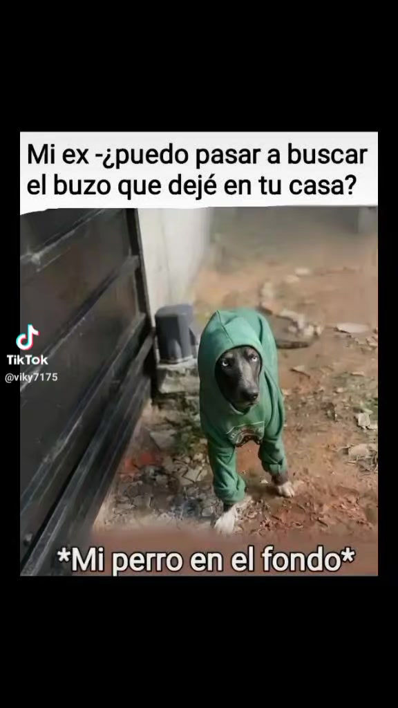 @irenitafranco