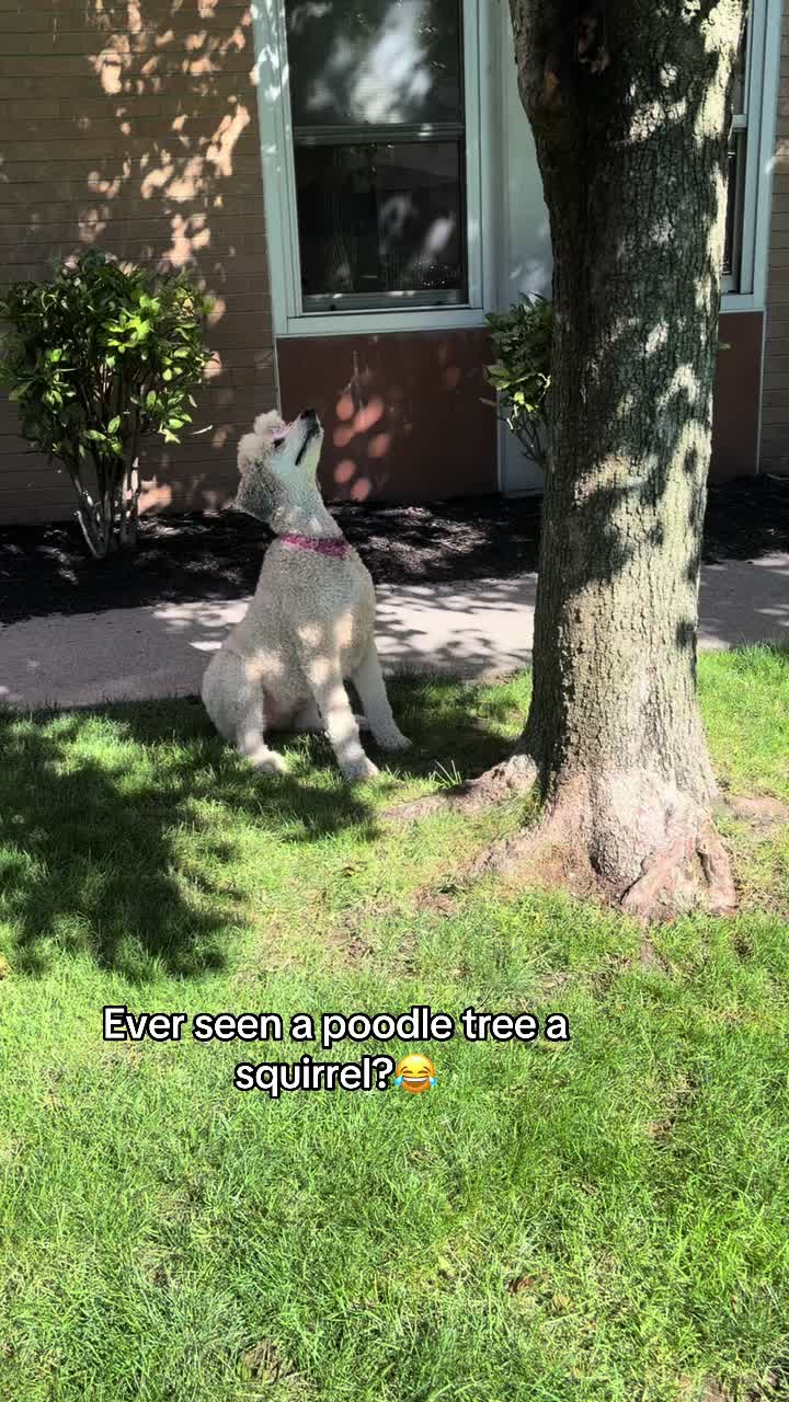 @🎭