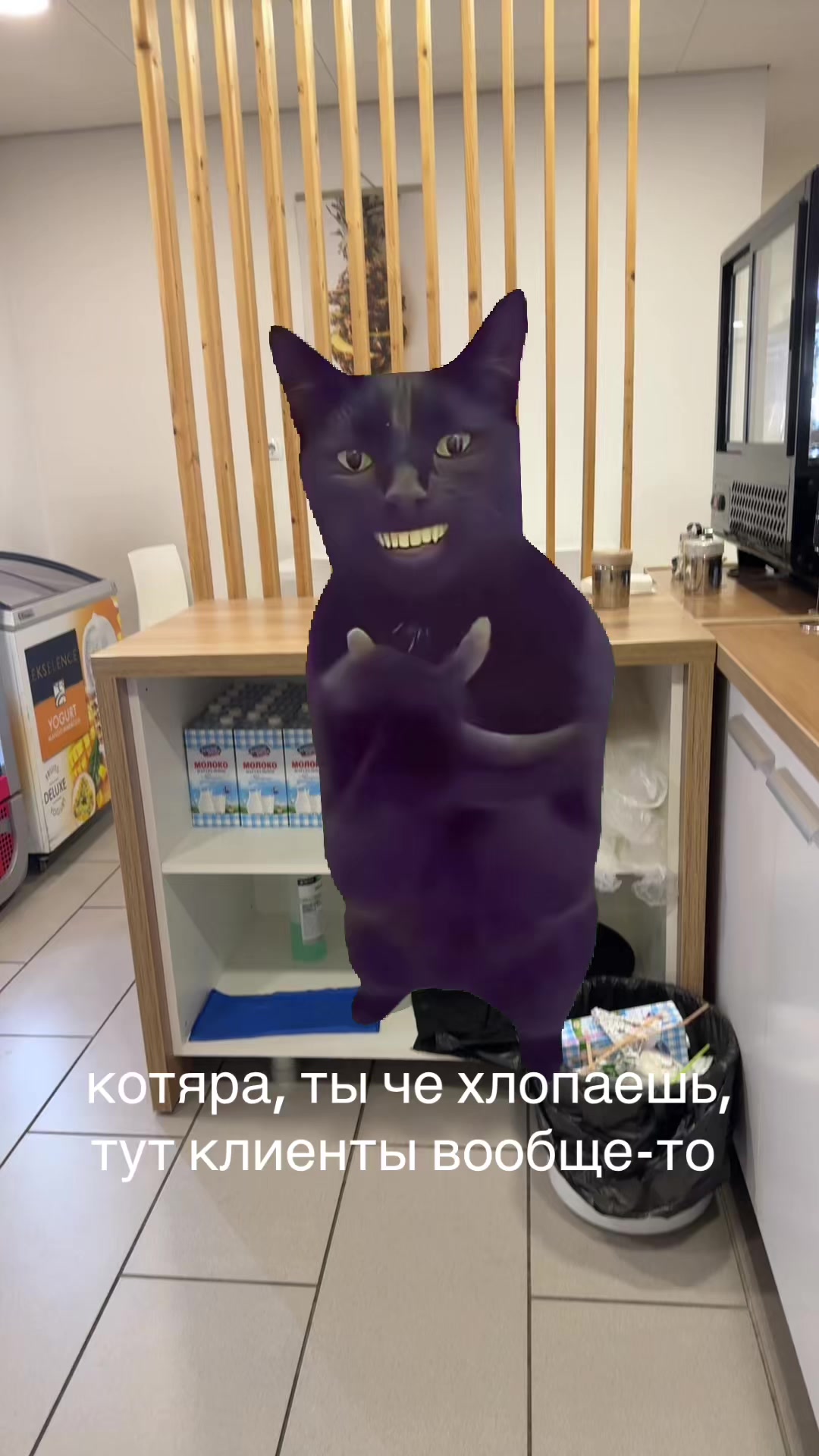 @KASTRULA🦦