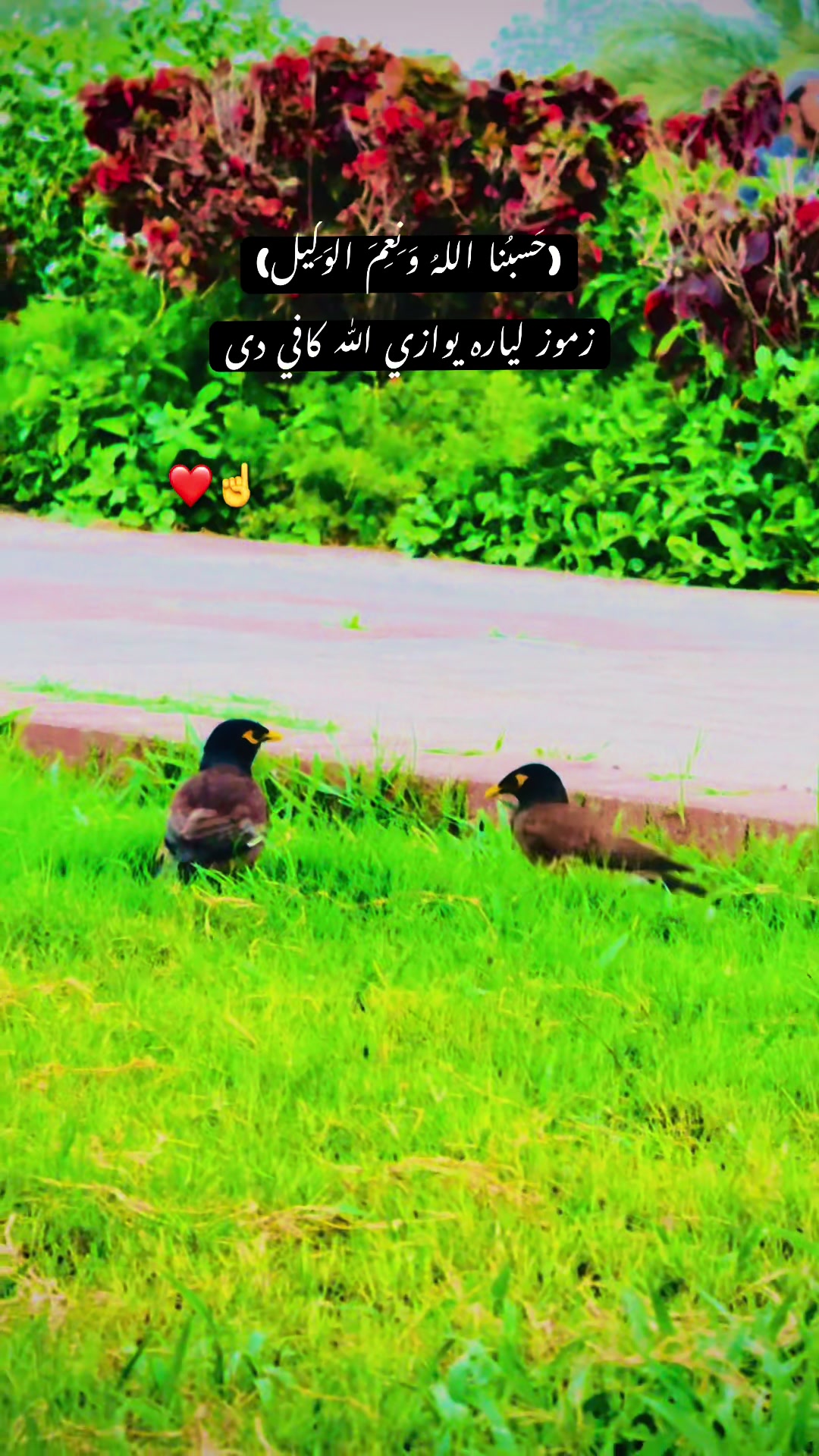 @*♛꧁💖💞S༒𓆩𓆪༒A💕💖꧂♛*