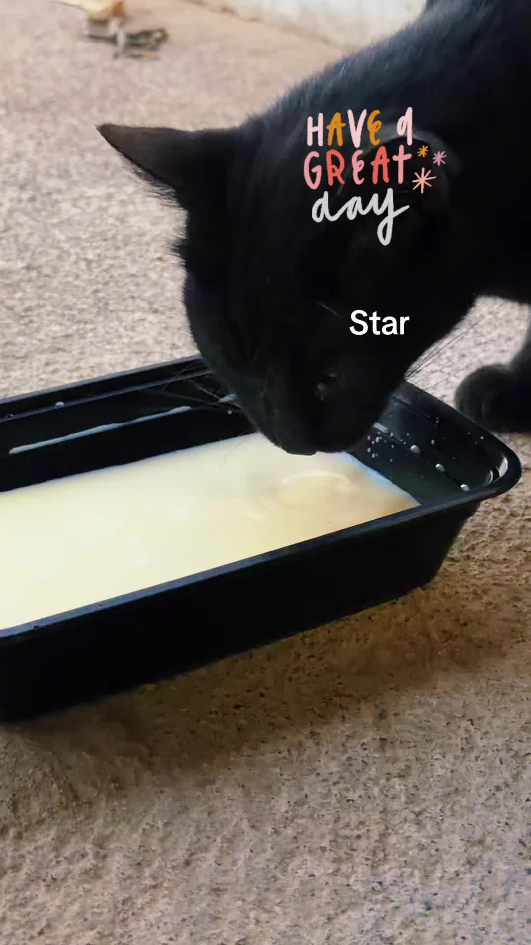 @Amri Gatitos