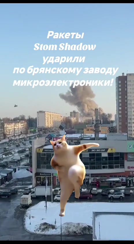 @haliina5