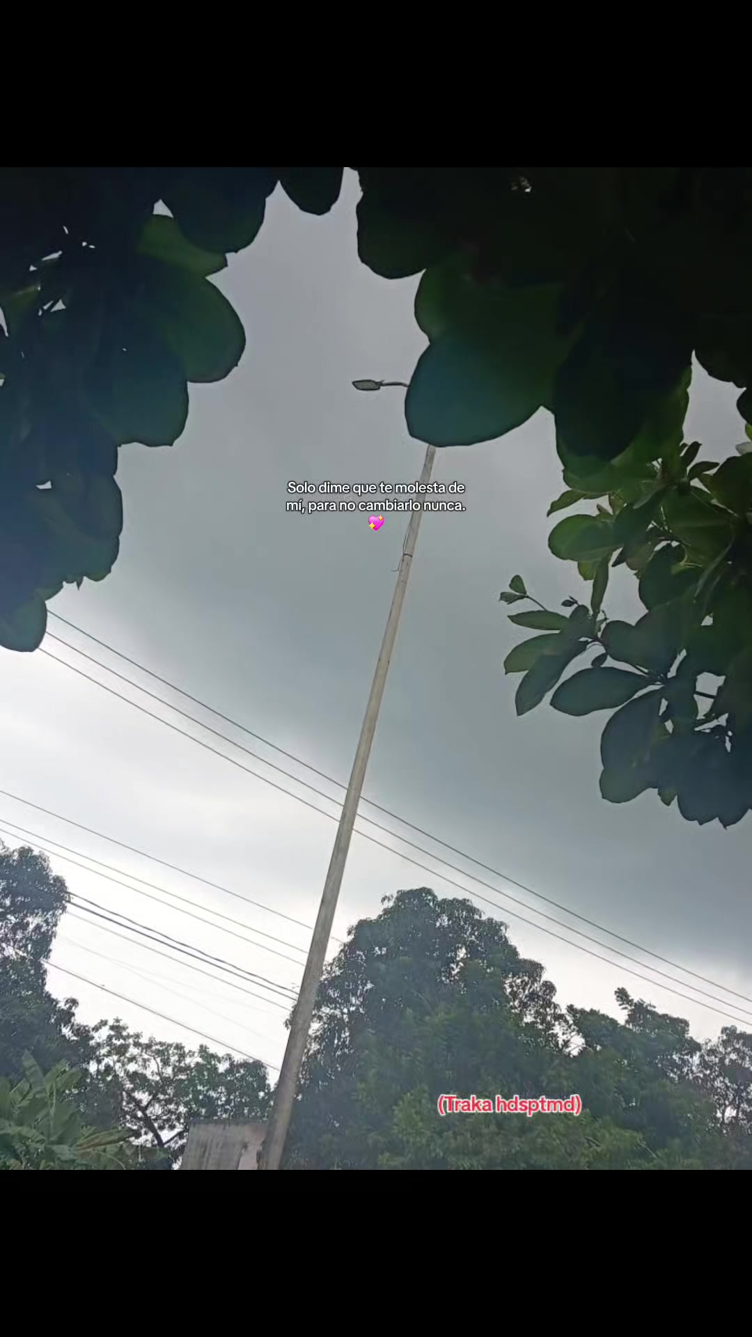 @vjsv