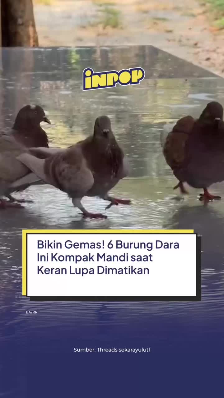 @inpopmedia