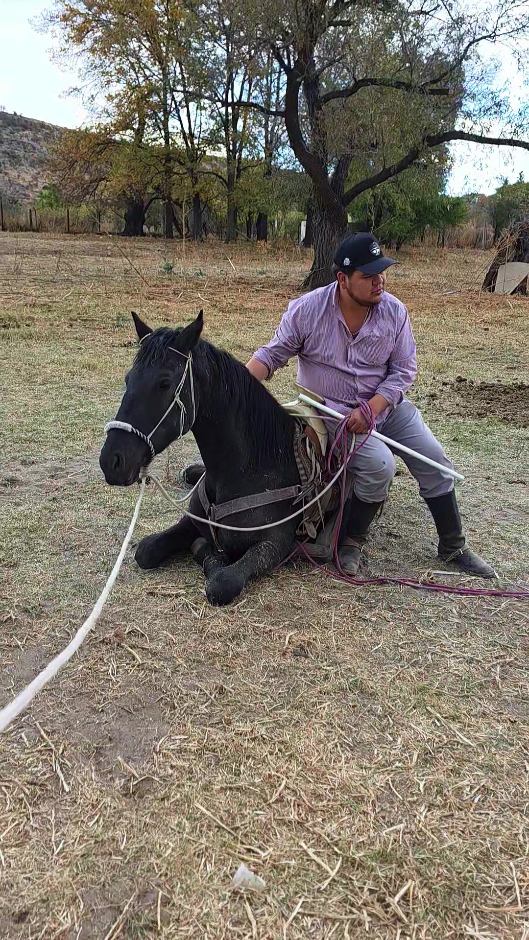 @AlejoRodriguez🎙🐎❤️