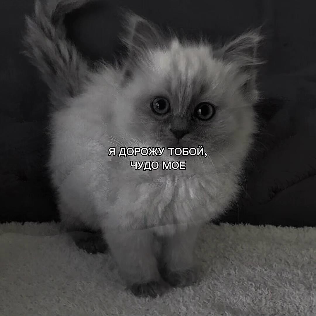 @ХХИКА