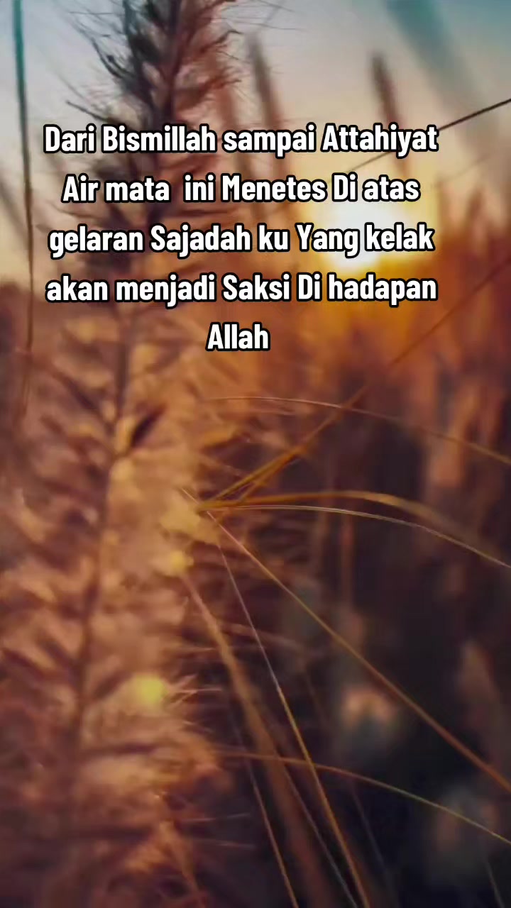 @Aysah ( mawar )