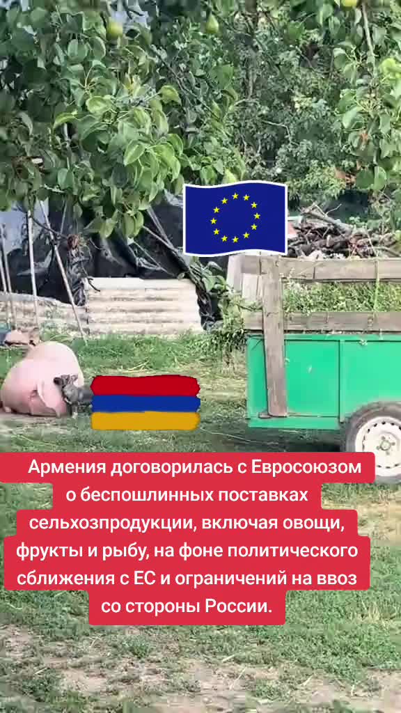 @Следственный комитет России Ф.