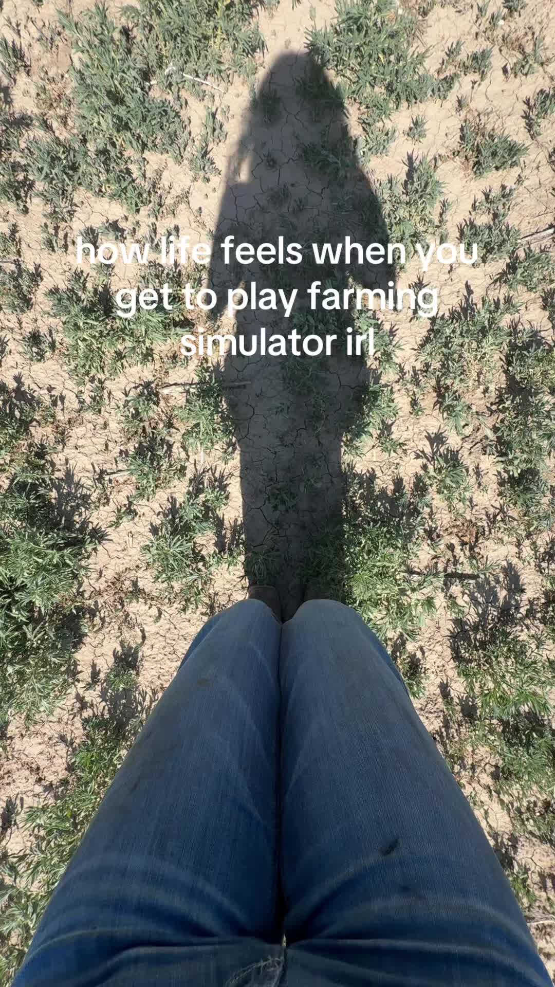 @Jill Bill 🤠