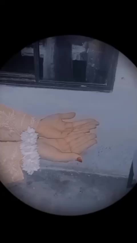 @mishii