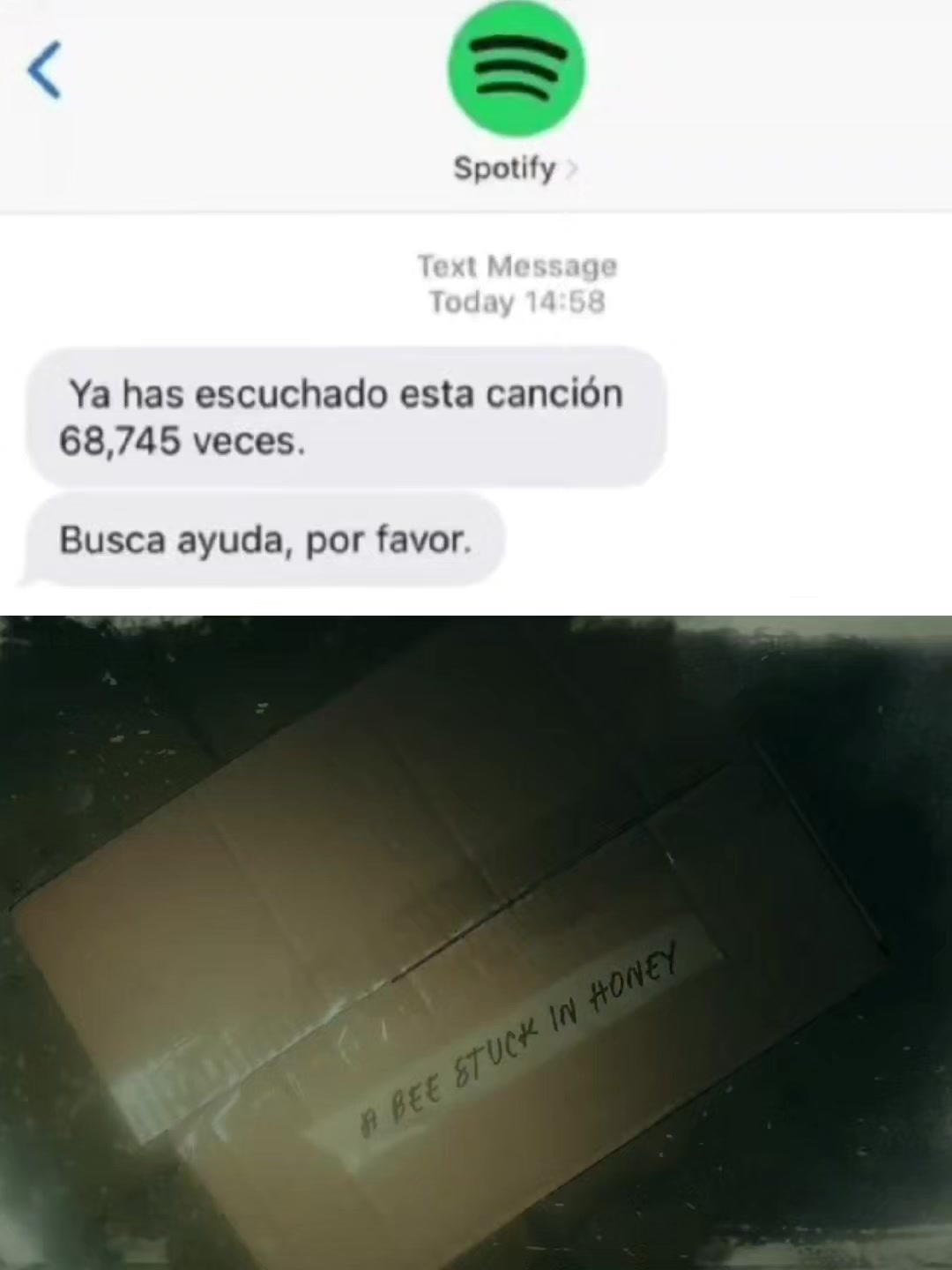 @Moonie