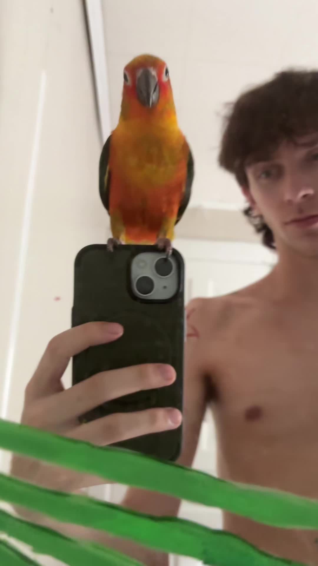 @Whiteboiwspraycheese