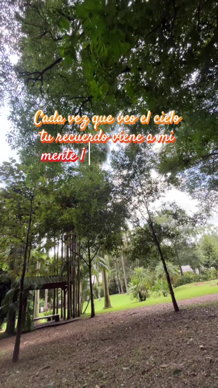@veracruzmarysol