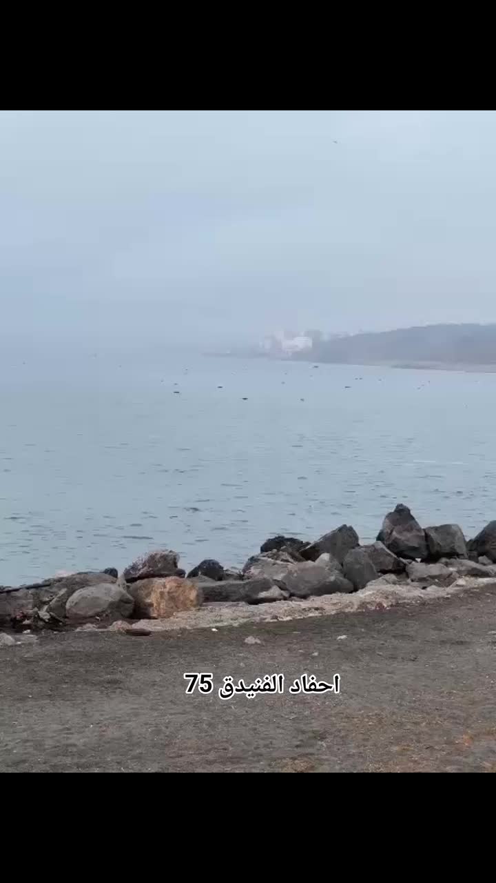 @DiiNa🤍🇪🇺🕊️