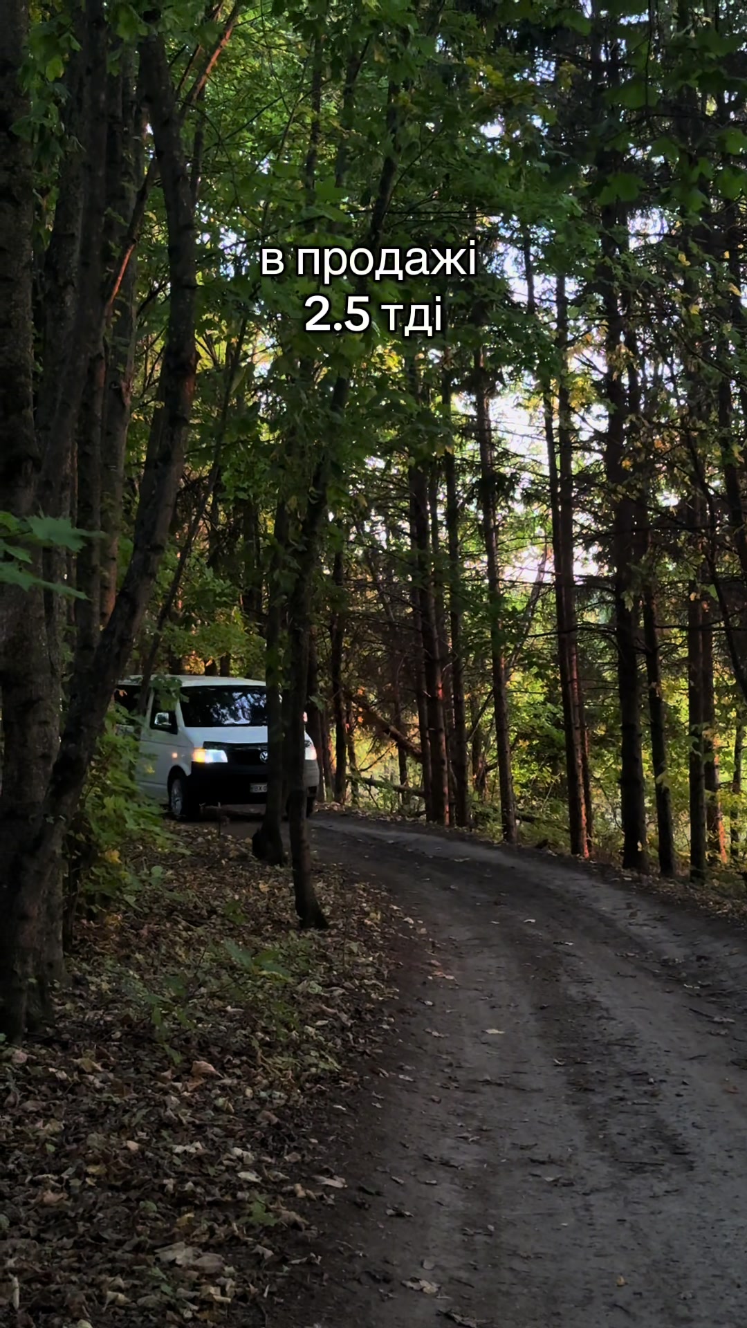 @😶&zwj;🌫️