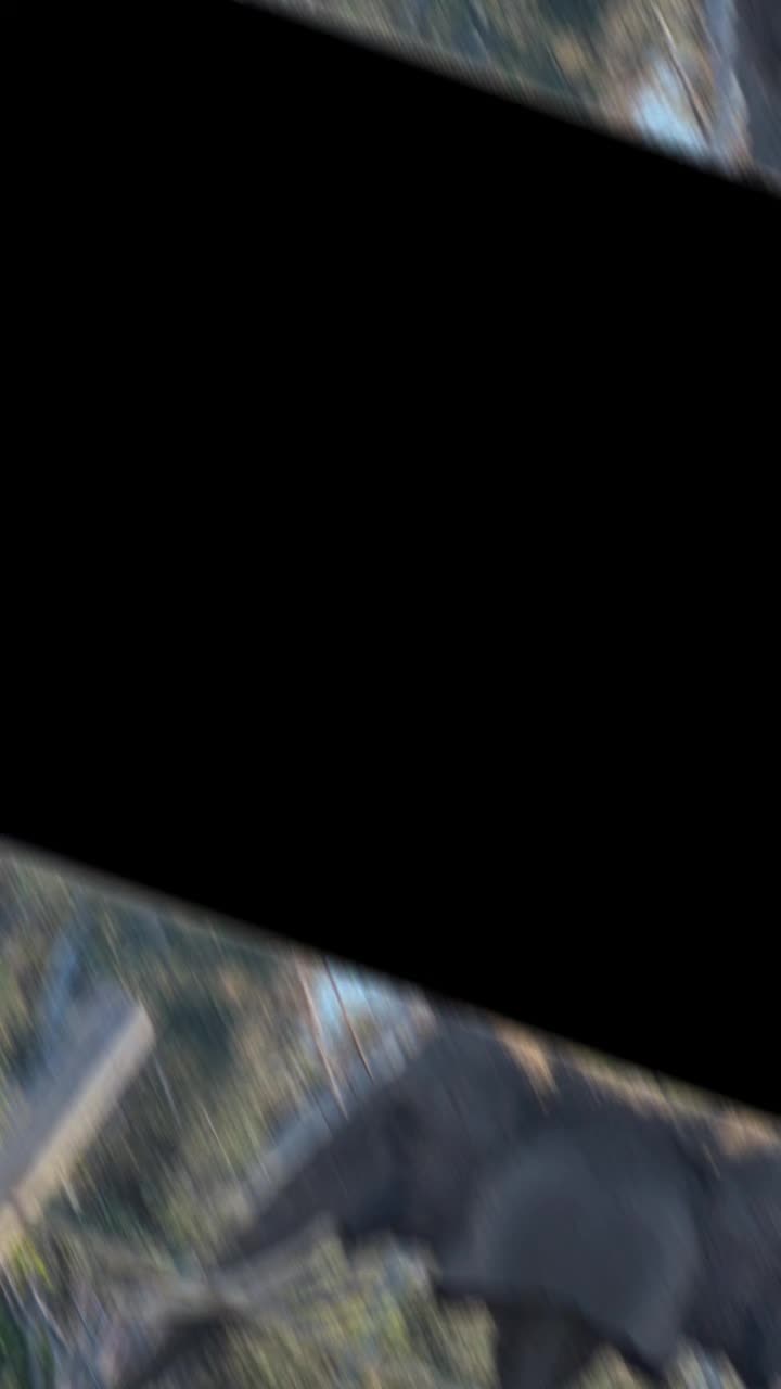 @zono Gen ❌️