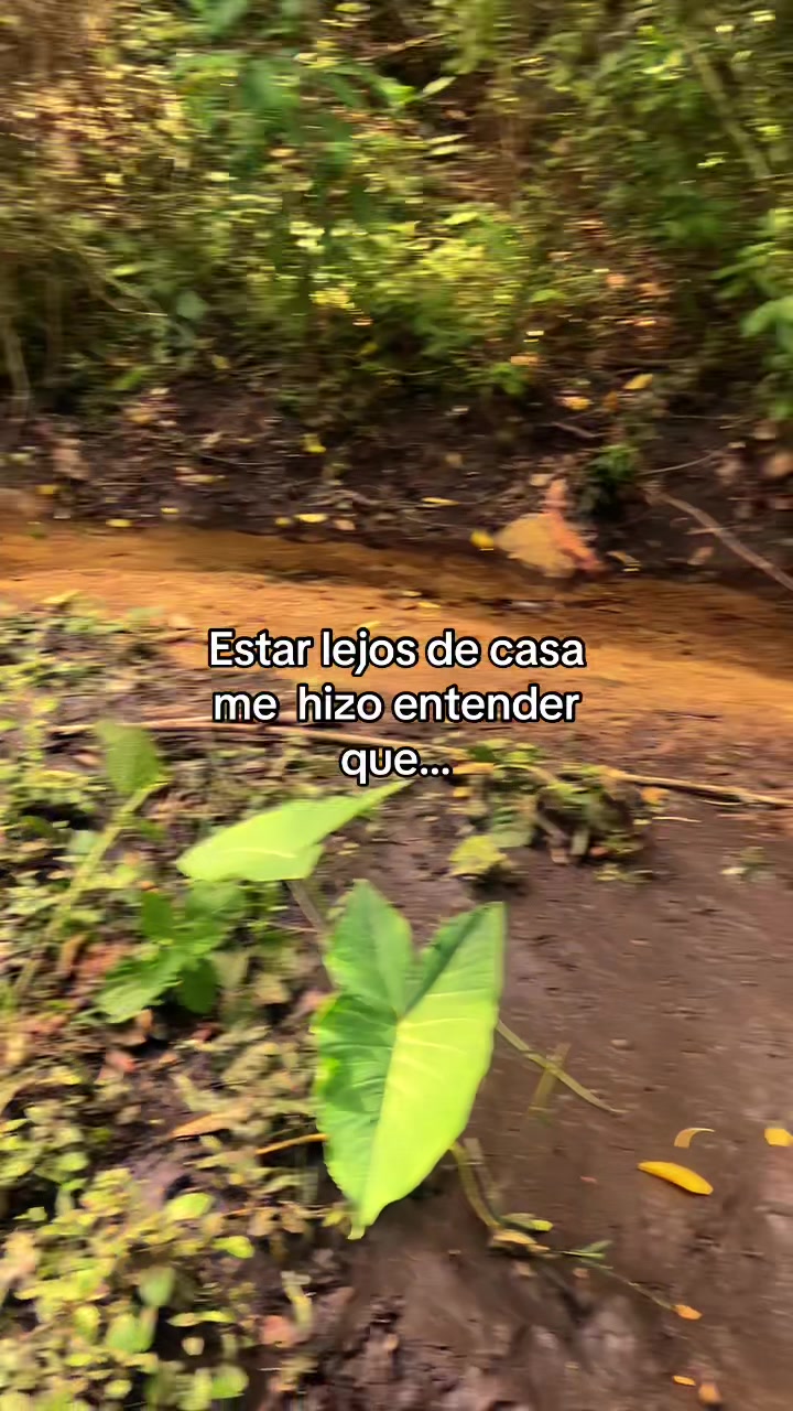 @Ariangela 💚☺️