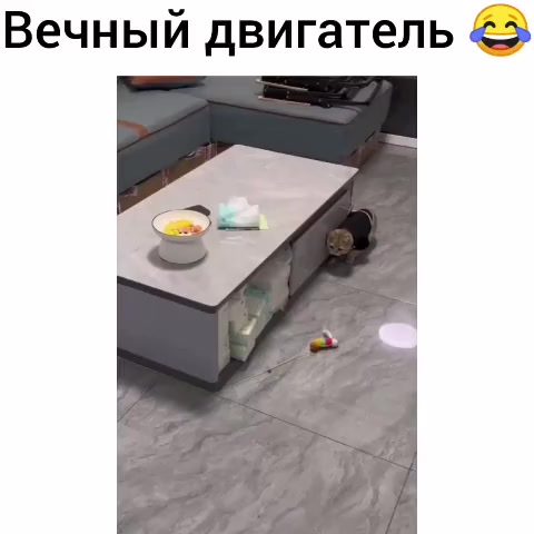 @Dima Marvin ☑️