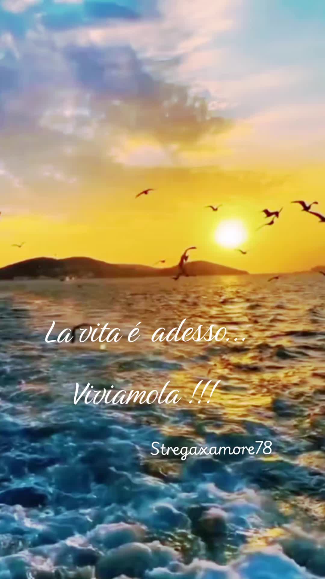 @Stregaxamore78