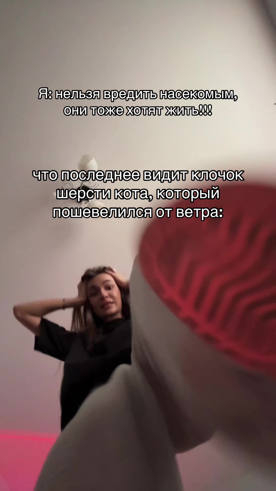 @dankoka