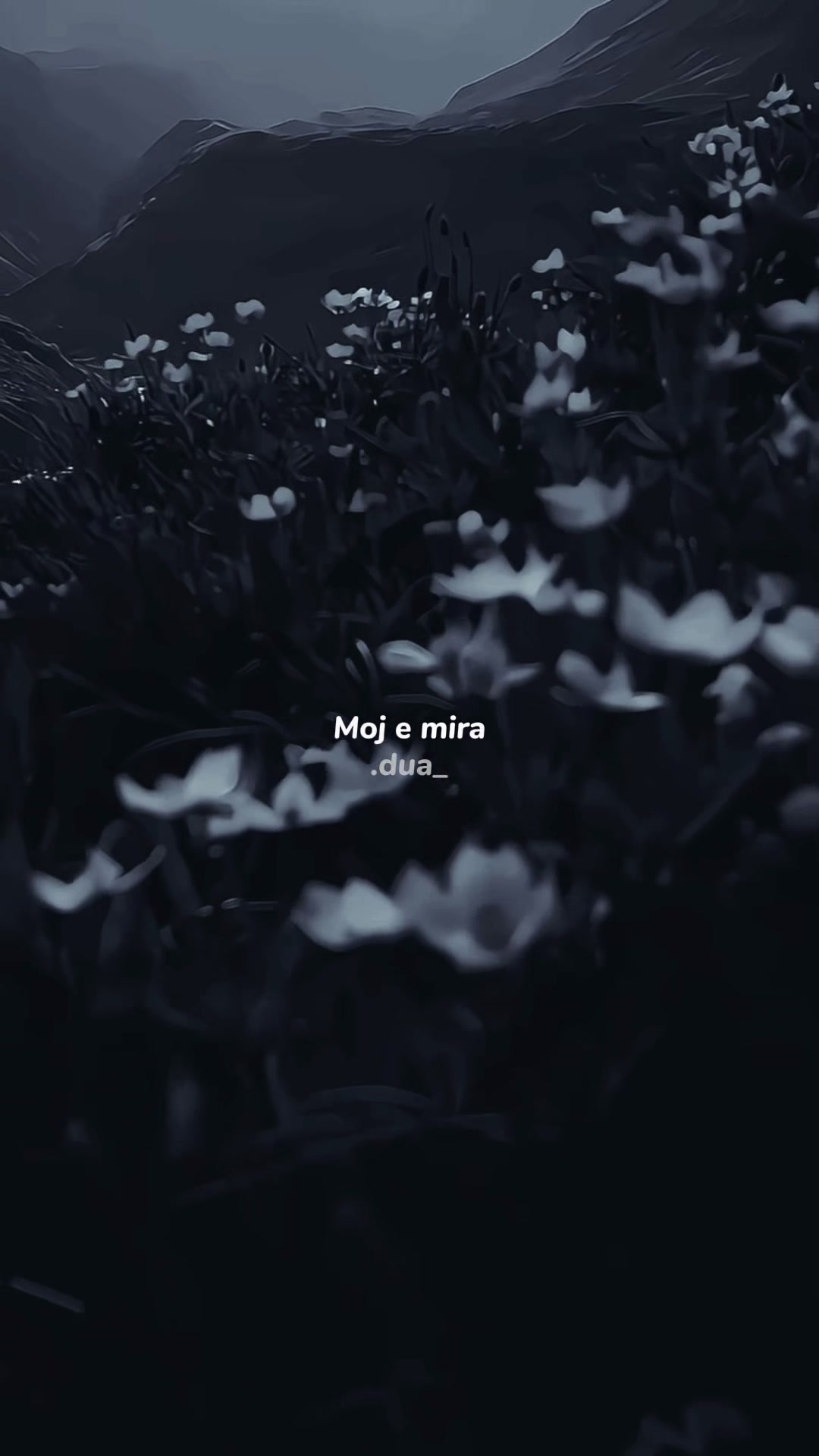 @𝗗 𝗨 𝗔