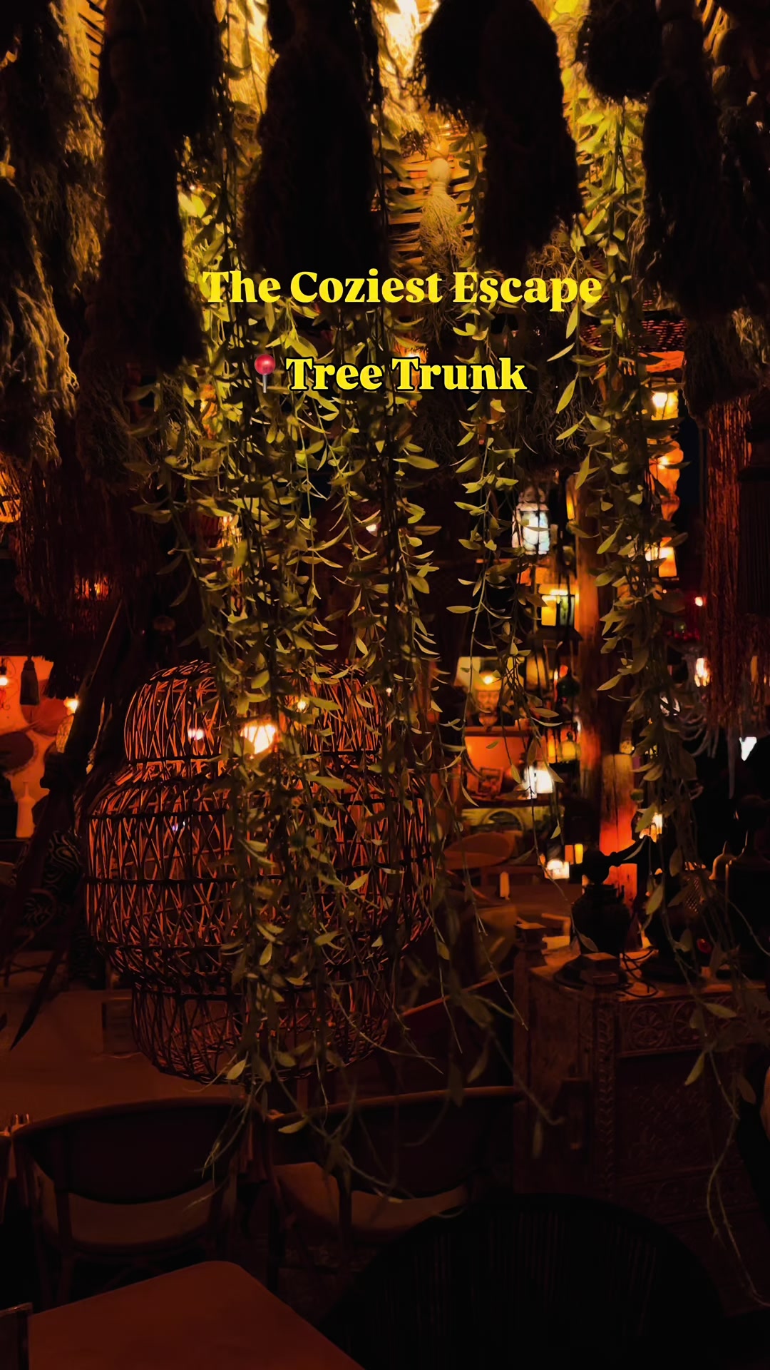 @Tree Trunk