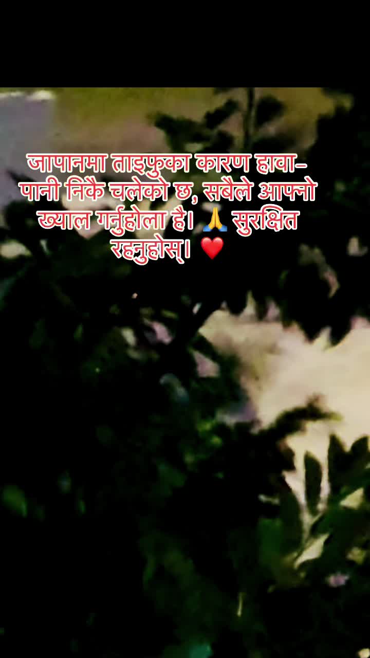 @Amrita Gajurel
