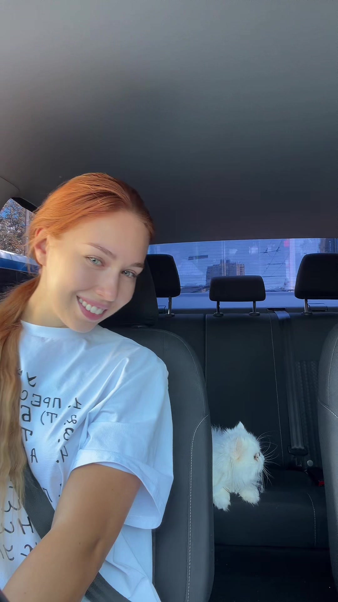 @Gonceatea