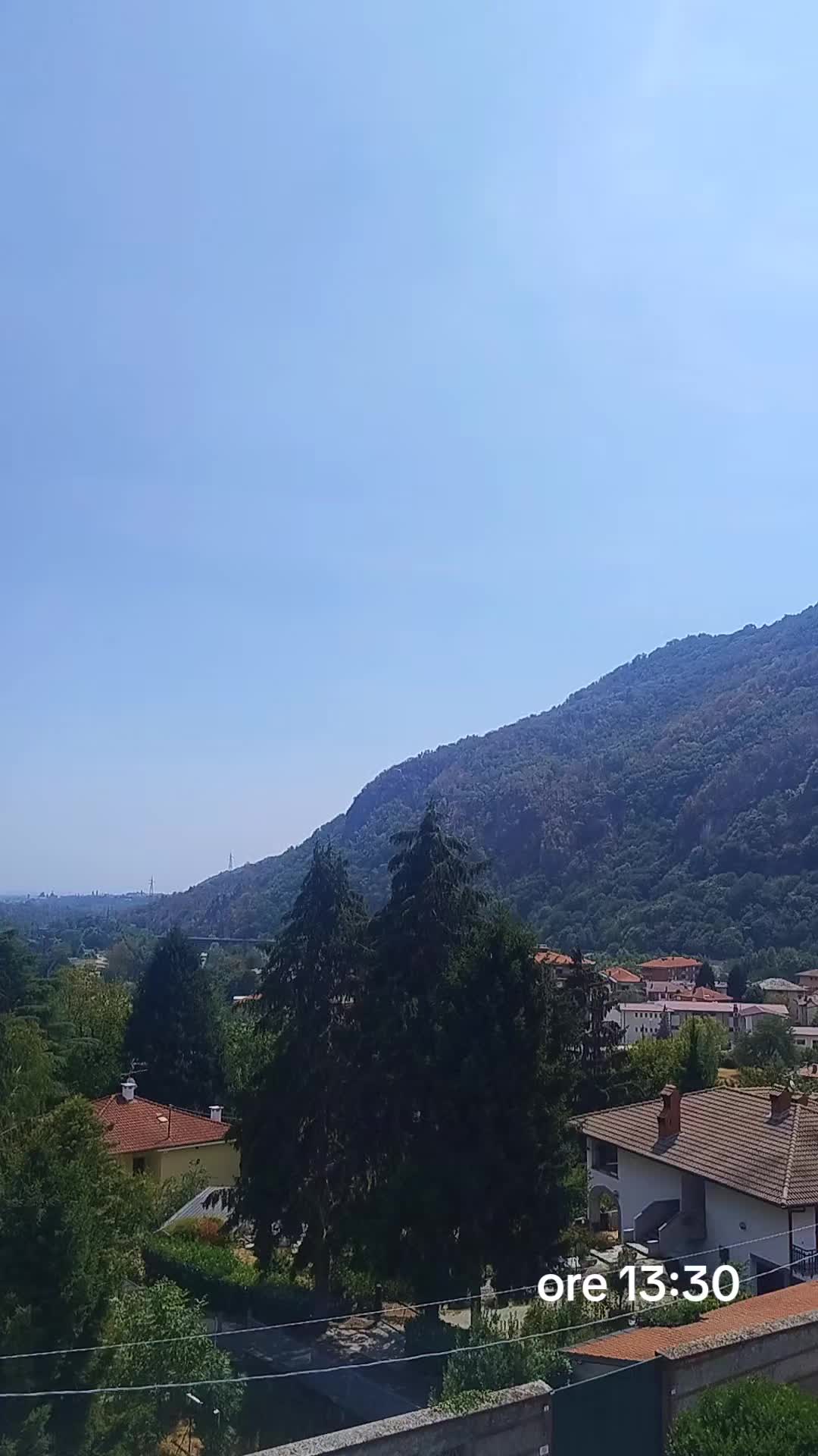 @Peluso Sara