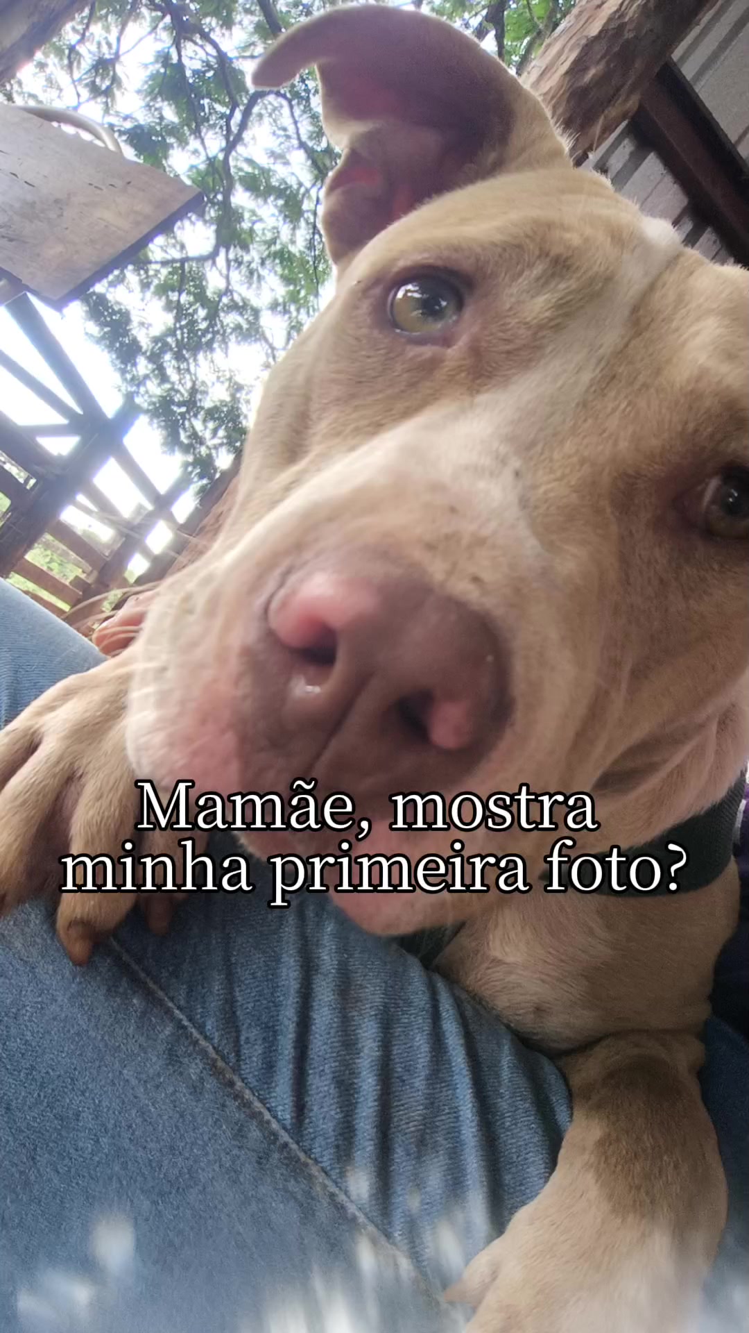 @Máximos