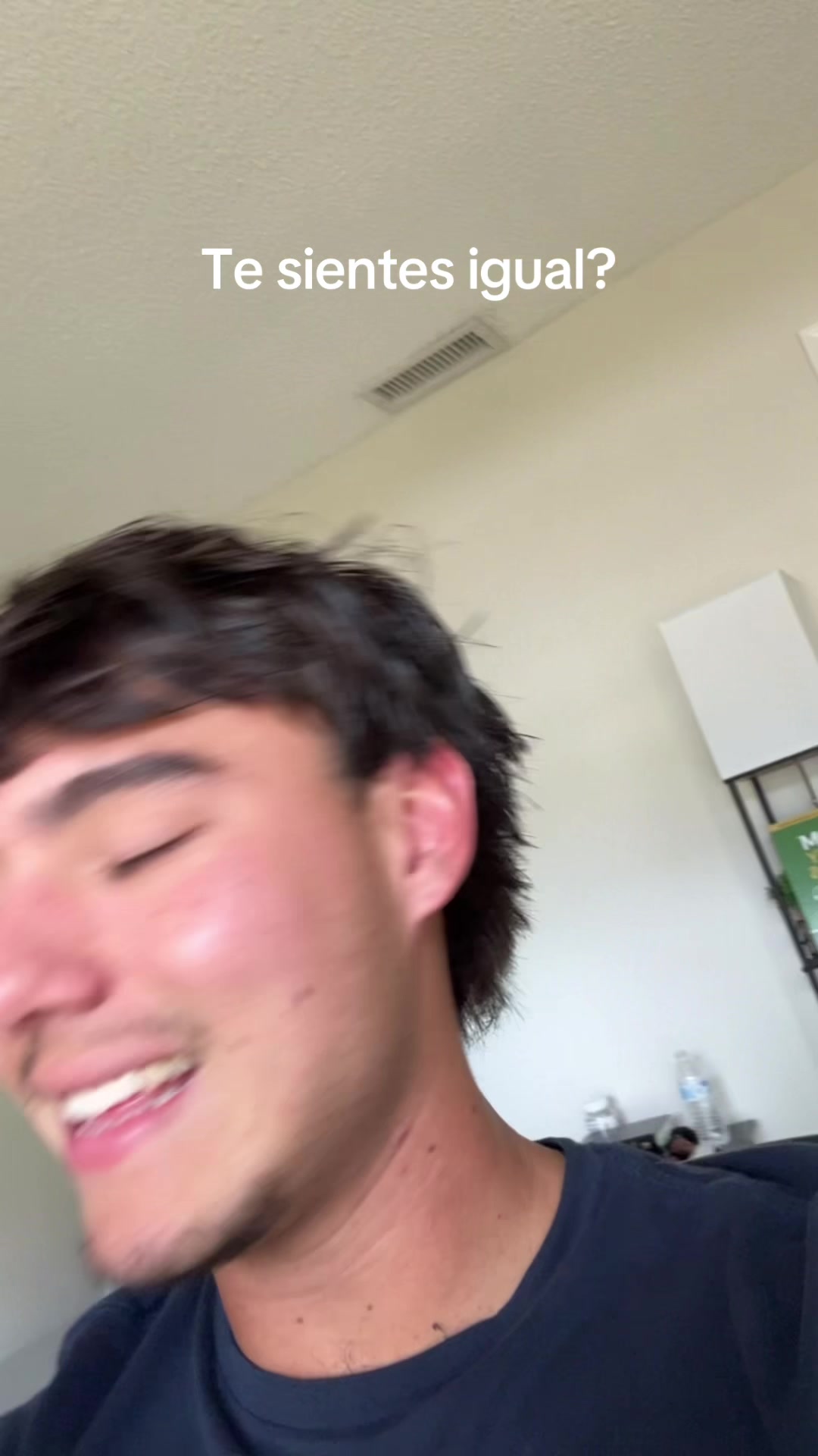 @mendiolaenusa