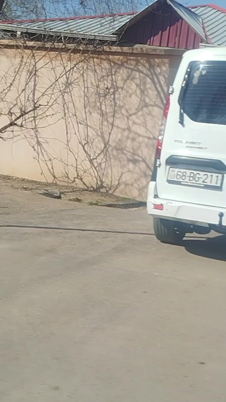 @Hayat