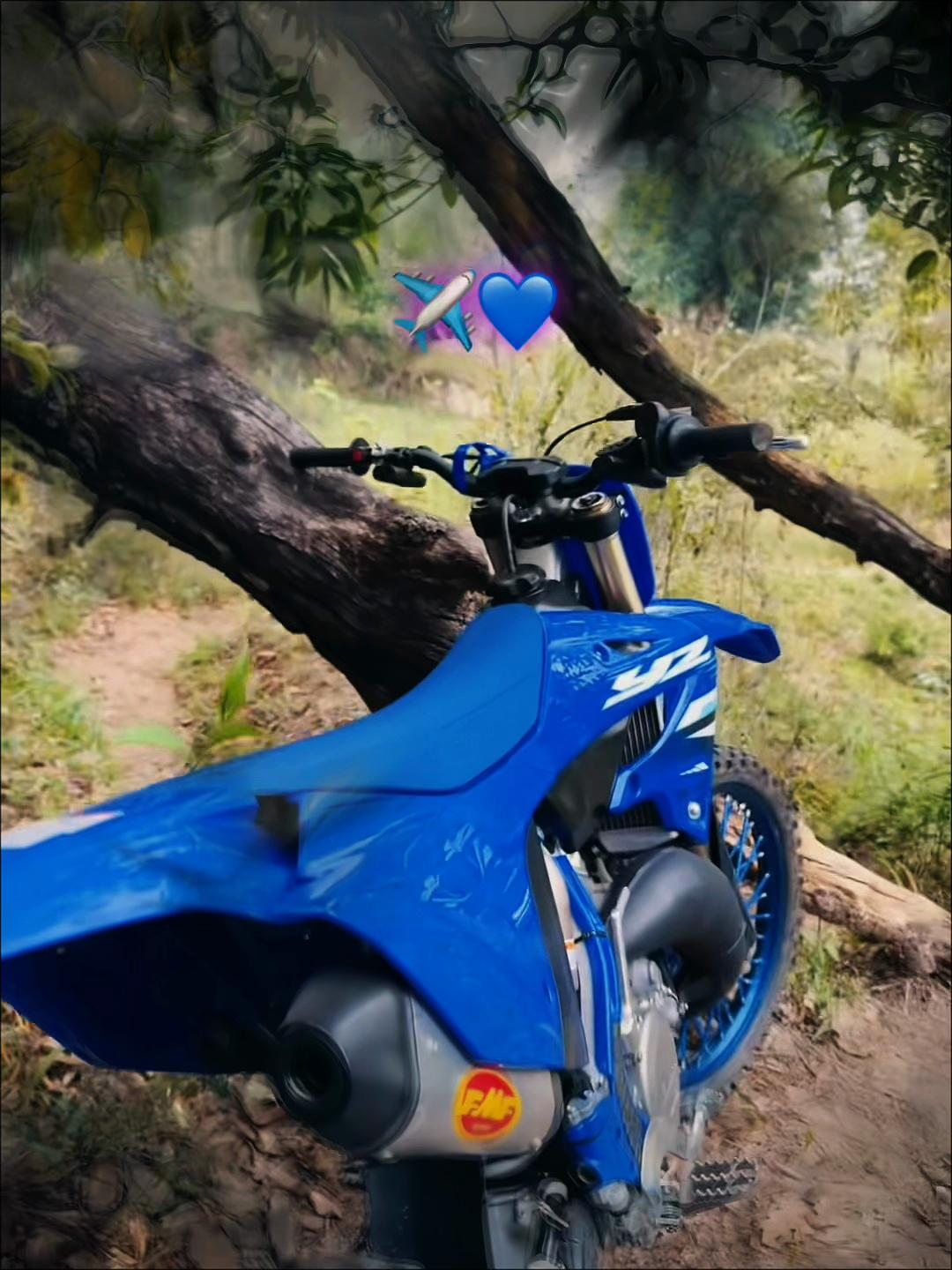 @El de la yz 𝟸𝟻𝟶 💙🥷