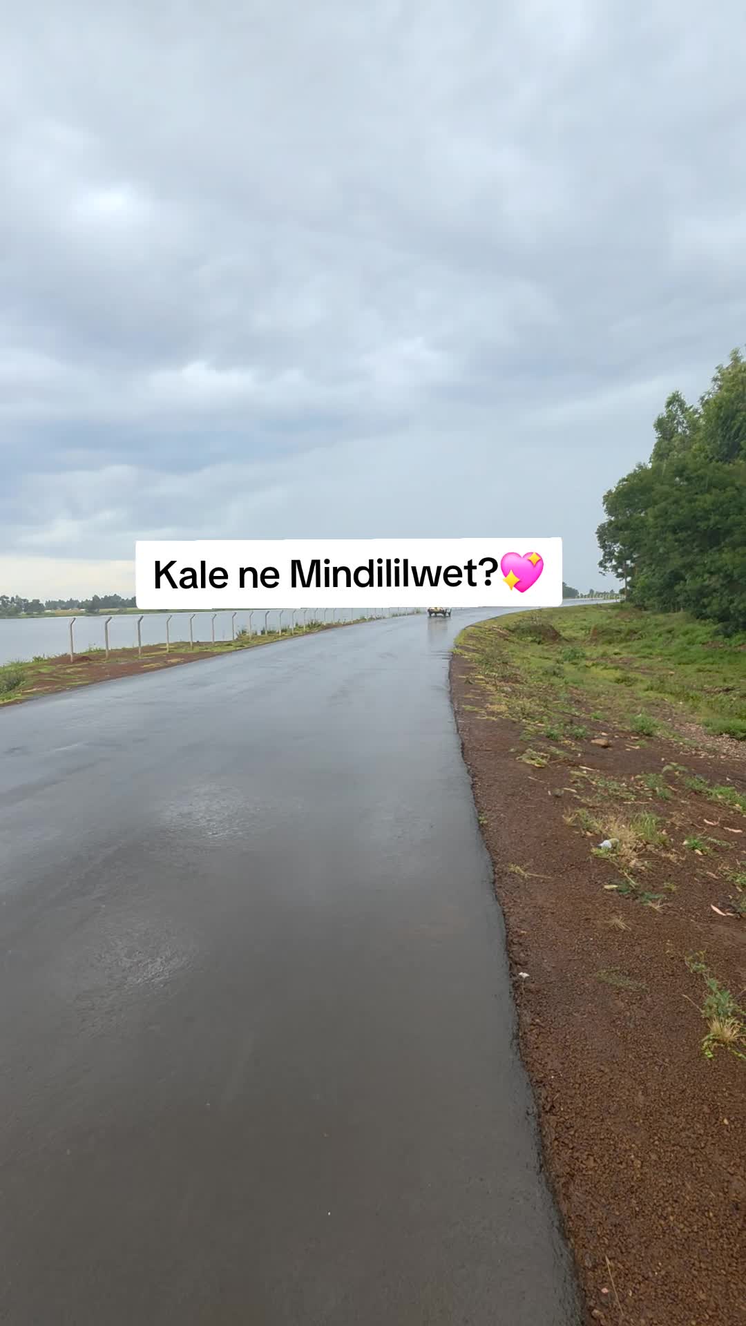@kim levi