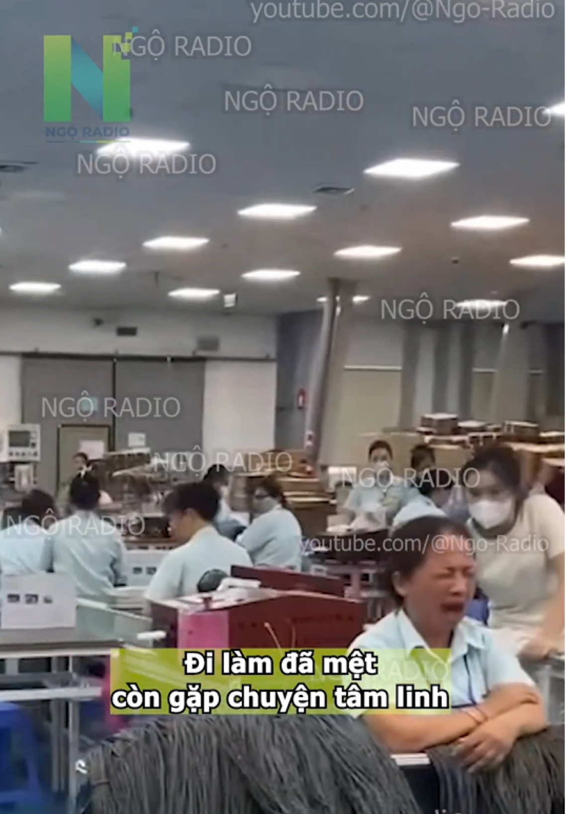 @Sơn T&ugrave;ng