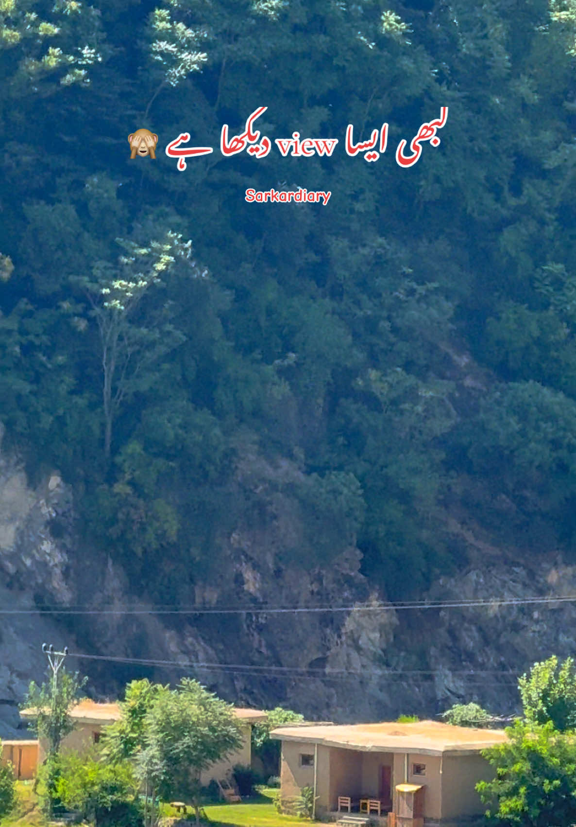 @🦋س ر ک ا ر 🦋