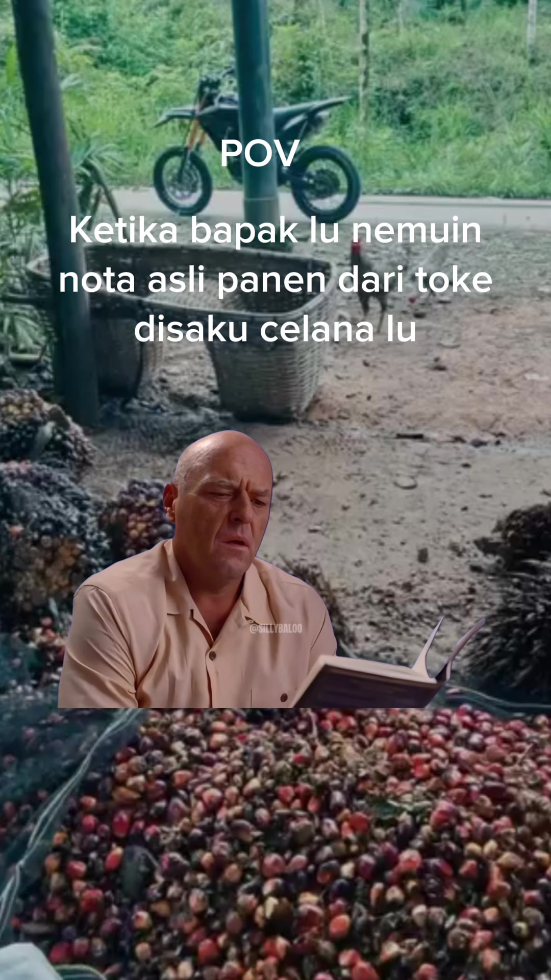@m g u s t i