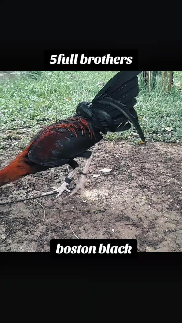@Cuabo21