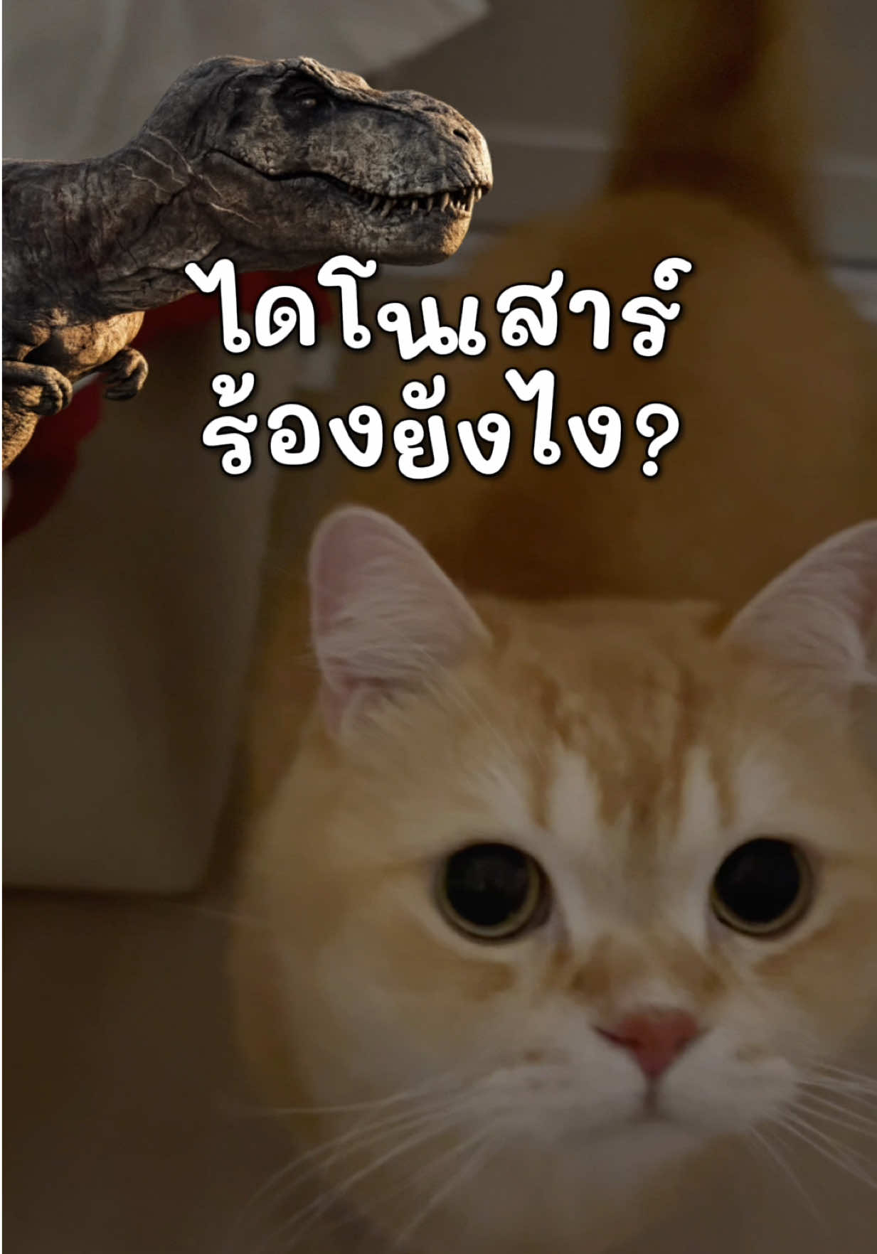 @ชิเอลแมวมึน 😺