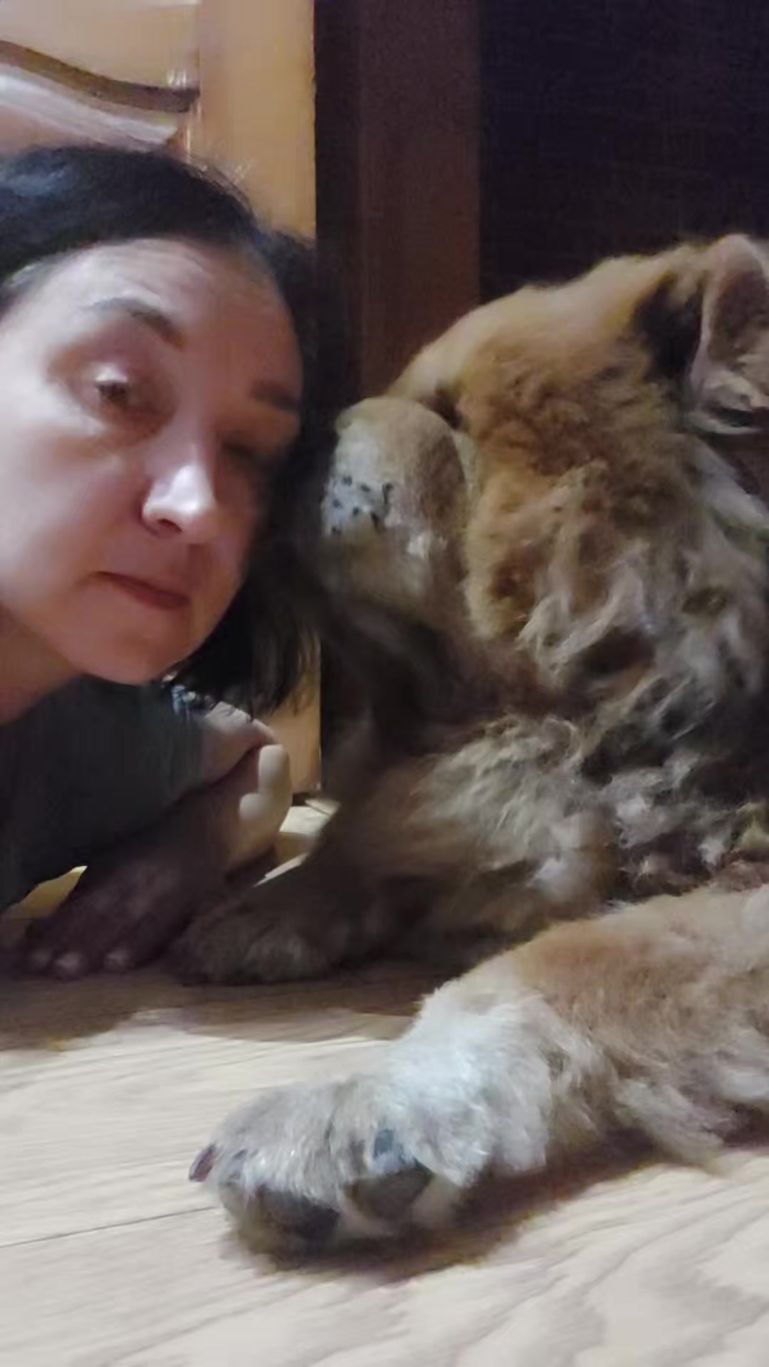 @Чау чау Тимоша❤️