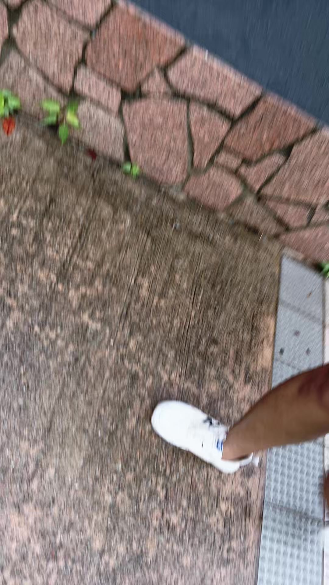 @Anbibsahsa