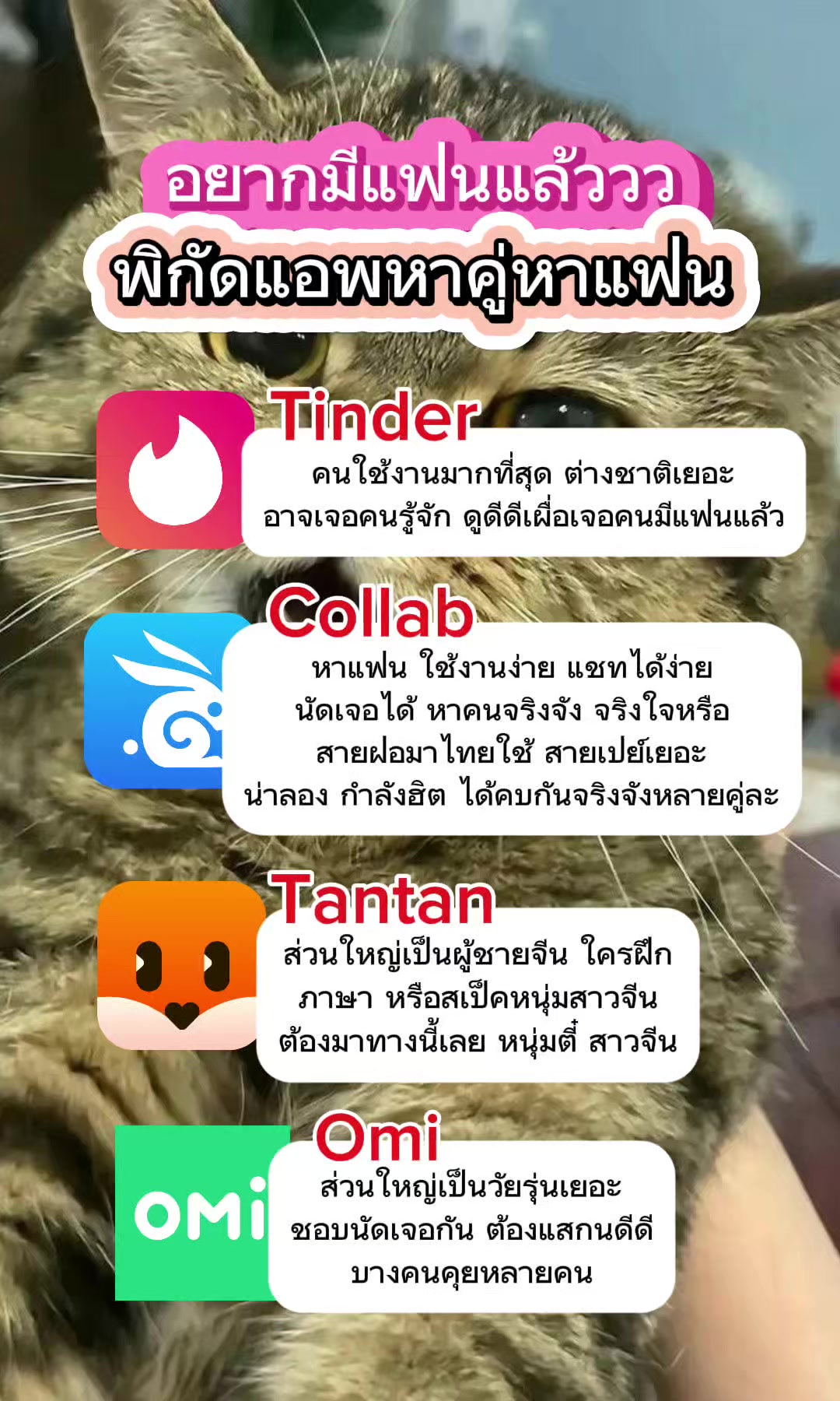 @Collab คนเหงา