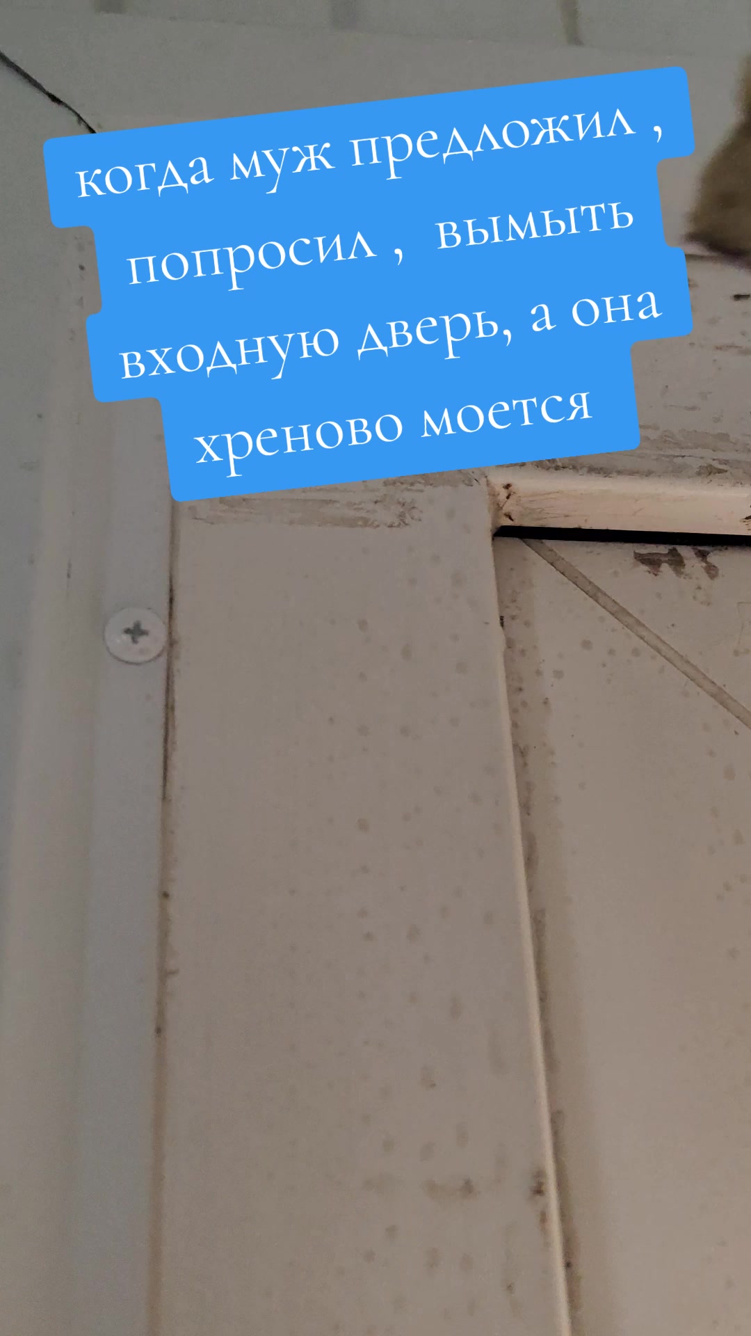 @oksananetahata