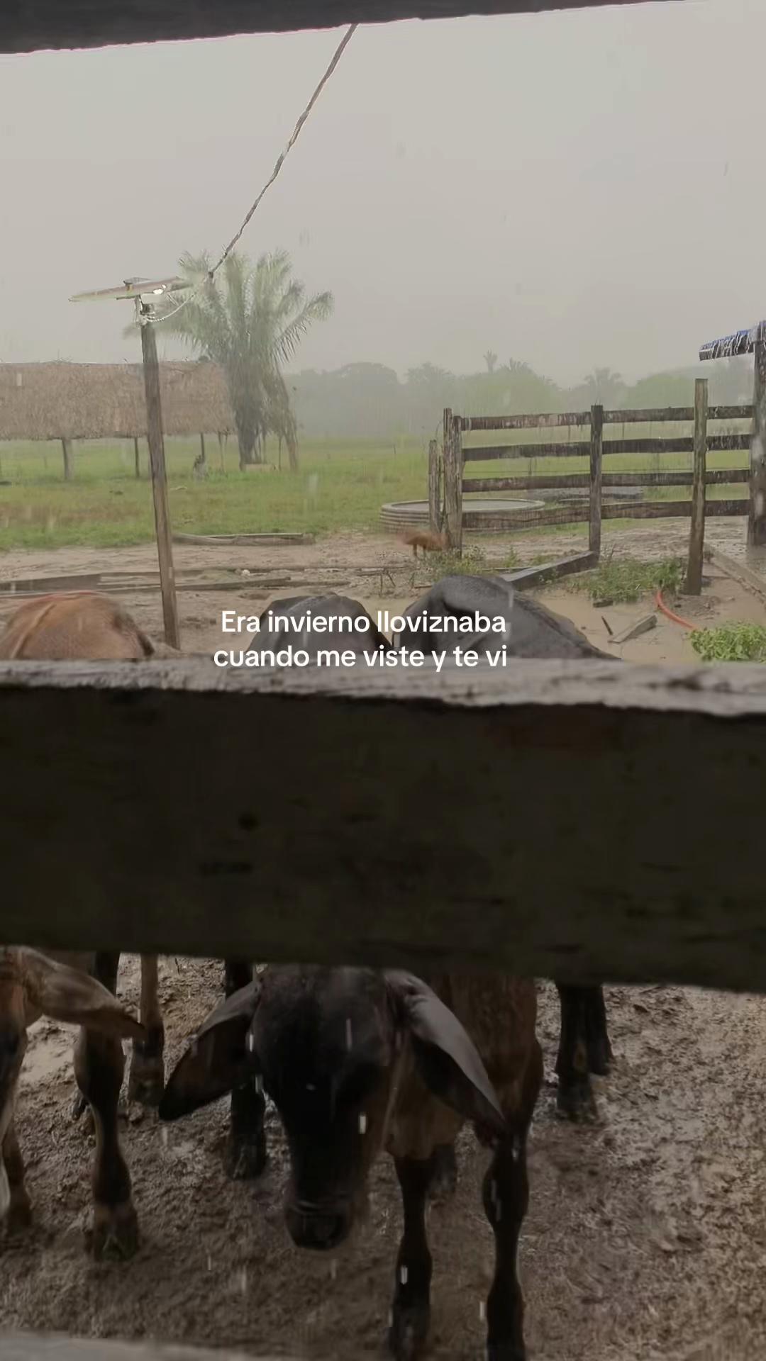 @Will_ &Omega;