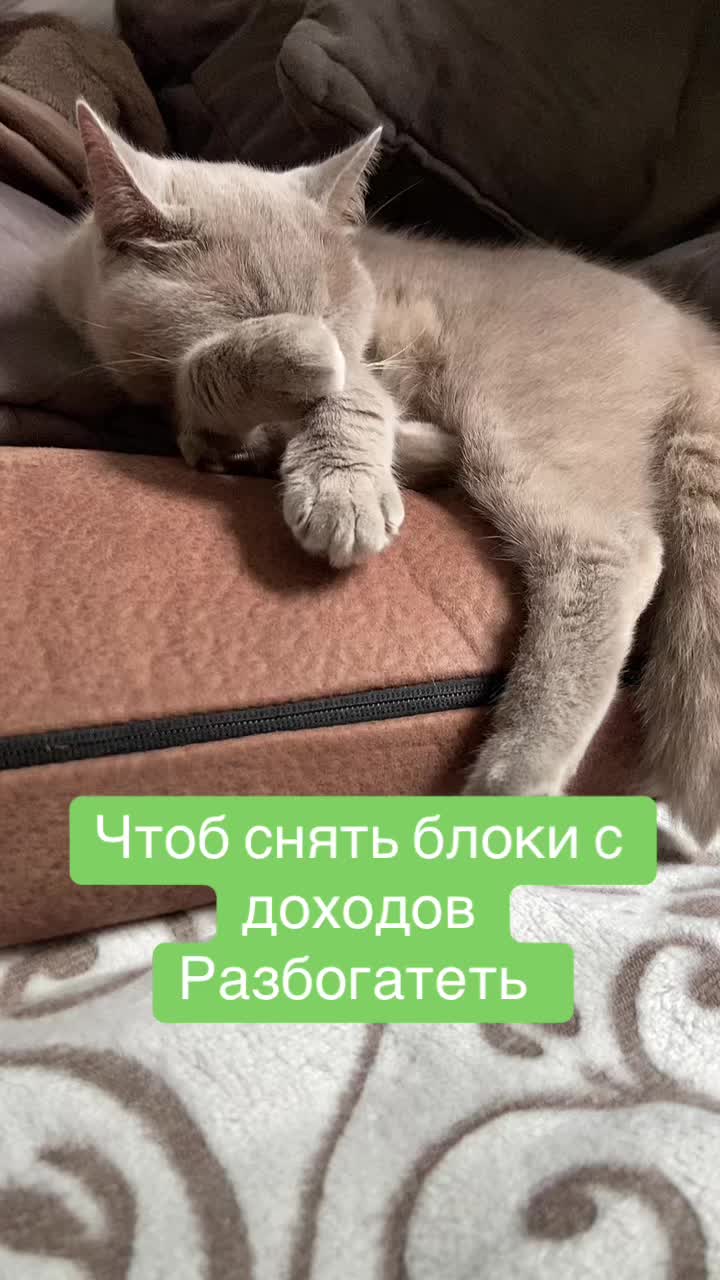 @ВИКУСЯ ЯСНОВИДЯЩАЯ